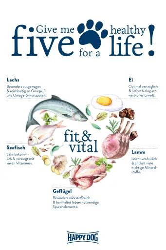 Happy Dog Fit & Vital Adulto Medio 6 Happy Dog Fit & Vital Adulto Medio – Image 4