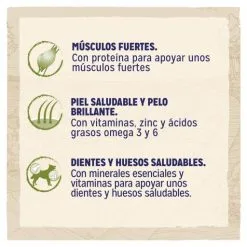 Dog Chow Razze Di Grande Tacchino Adulto -Nourriture pour chien Boutique 07613034487926 3 beneficios 630733ccc7d1e g