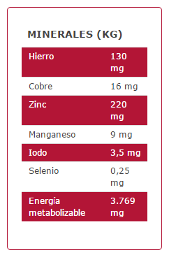Arion Cibo Secco Per Cani Original Adult Small Salmone E Riso 6 Arion Cibo Secco Per Cani Original Adult Small Salmone E Riso – Image 4