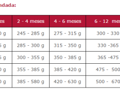 Arion Cibo Secco Per Cani Original Puppe Large Salmone E Riso 11 Arion Cibo Secco Per Cani Original Puppe Large Salmone E Riso -Nourriture pour chien Boutique 113867 5414970055130 5 g
