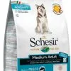 Schesir Cibo Secco Medium Mantenimento Con Pesce 1 Schesir Cibo Secco Medium Mantenimento Con Pesce -Nourriture pour chien Boutique 113891 sch dry d medium pesce 1 g