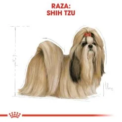 Royal Canin Cibo Secco Per Cani Shih Tzu Adult -Nourriture pour chien Boutique 114313 rc bhn shihtzu cv eretailkit 1 es es 5 g