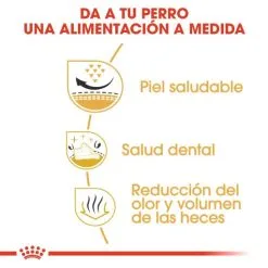 Royal Canin Cibo Secco Per Cani Shih Tzu Adult -Nourriture pour chien Boutique 114313 rc bhn shihtzu cv eretailkit 3 es es 3 g