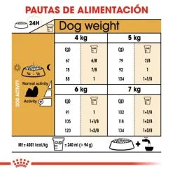 Royal Canin Cibo Secco Per Cani Shih Tzu Adult -Nourriture pour chien Boutique 114313 rc bhn shihtzu cv eretailkit 5 es es 7 g