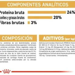 Royal Canin Cibo Secco Per Cani Shih Tzu Adult -Nourriture pour chien Boutique 114313 rc bhn shihtzu cv eretailkit 6 es es 8 g