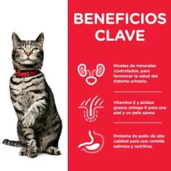 Hill's Science Plan Sterilised Urinary Health Con Pollo -Nourriture pour chien Boutique 114603 2 3 g