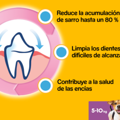 Pedigree Dentastix Dental Snack Per L'igiene Orale Di Cani Di Piccola Taglia -Nourriture pour chien Boutique 117082 5998749110720 6 9 g