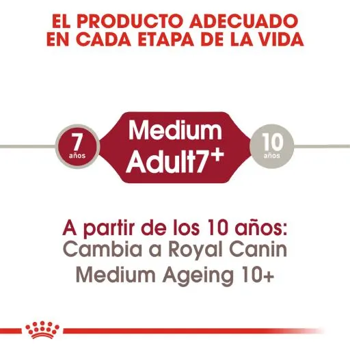 Royal Canin Cibo Secco Per Cani Medium Adult +7 5 Royal Canin Cibo Secco Per Cani Medium Adult +7 – Image 3