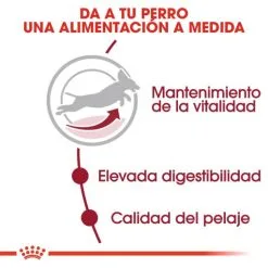 Royal Canin Cibo Secco Per Cani Medium Adult +7 13 Royal Canin Cibo Secco Per Cani Medium Adult +7 -Nourriture pour chien Boutique 11794 4 3 g