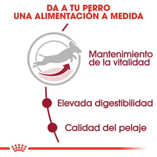 Royal Canin Cibo Secco Per Cani Medium Adult +7 6 Royal Canin Cibo Secco Per Cani Medium Adult +7 – Image 4