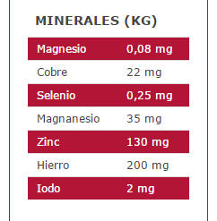 Arion Cibo Secco Premium Senior 10 Arion Cibo Secco Premium Senior -Nourriture pour chien Boutique 11810 3 4 g