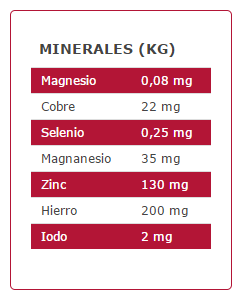 Arion Cibo Secco Premium Senior 6 Arion Cibo Secco Premium Senior – Image 4