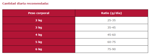 Arion Cibo Secco Premium Senior 7 Arion Cibo Secco Premium Senior – Image 5