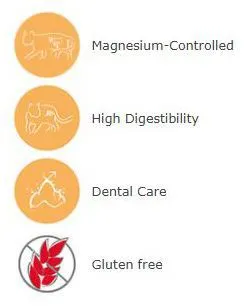 Arion Cibo Secco Per Gatti Original Urinare 34/13 4 Arion Cibo Secco Per Gatti Original Urinare 34/13 – Image 2