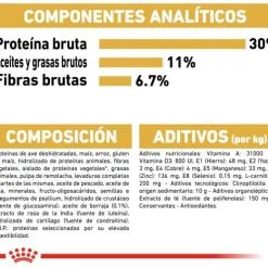 Royal Canin Labrador Retriever Adult Sterilised -Nourriture pour chien Boutique 128927 rc bhn labradorsterilised cv eretailkit 6 es es 8 g