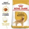Royal Canin Golden Retriever Adult Per Cani Di Razza Adulti -Nourriture pour chien Boutique 147 1 0 g