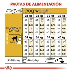 Royal Canin Golden Retriever Adult Per Cani Di Razza Adulti -Nourriture pour chien Boutique 147 7 6 g