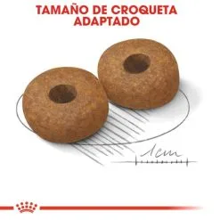 Royal Canin Cibo Secco Per Cani Medium Ageing +10 -Nourriture pour chien Boutique 15325 5 4 g