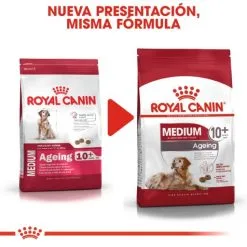 Royal Canin Cibo Secco Per Cani Medium Ageing +10 -Nourriture pour chien Boutique 15325 7 6 g