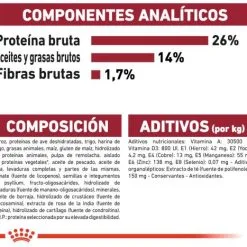 Royal Canin Cibo Secco Per Cani Medium Ageing +10 -Nourriture pour chien Boutique 15325 8 7 g