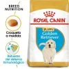 Royal Canin Cibo Secco Per Cani Golden Retriever Junior -Nourriture pour chien Boutique 155 1 0 g