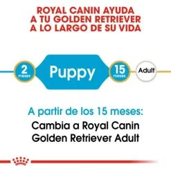Royal Canin Cibo Secco Per Cani Golden Retriever Junior -Nourriture pour chien Boutique 155 3 2 g