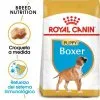 Royal Canin Cibo Secco Per Cani Boxer Junior