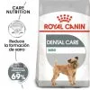 Royal Canin Mini Dental Care -Nourriture pour chien Boutique 165508 1 0 g