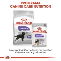 Royal Canin Maxi Sterilised Sterilised Adult Dog Food -Nourriture pour chien Boutique 165678 rc ccn sterilisedmaxi cv eretailkit 6 es es 6 g