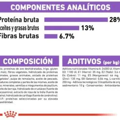 Royal Canin Maxi Sterilised Sterilised Adult Dog Food -Nourriture pour chien Boutique 165678 rc ccn sterilisedmaxi cv eretailkit 8 es es 9 g