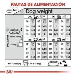 Royal Canin Medium Sterilised Adult Sterilized Medium Adult Dog Food 13 Royal Canin Medium Sterilised Adult Sterilized Medium Adult Dog Food -Nourriture pour chien Boutique 165679 rc ccn sterilisedmed cv eretailkit 7 es es 7 g