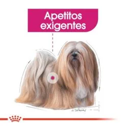 Royal Canin Cibo Secco Per Cani Mini Exigent -Nourriture pour chien Boutique 165685 4 3 g
