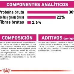 Royal Canin Cibo Secco Per Cani Mini Exigent -Nourriture pour chien Boutique 165685 9 8 g