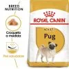 Royal Canin Cibo Secco Per Cani Pug Adult