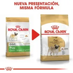 Royal Canin Cibo Secco Per Cani Pug Adult -Nourriture pour chien Boutique 169 6 5 g