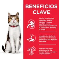 Hill's Science Plan Adult Senior +7 Con Pollo -Nourriture pour chien Boutique 171316 52742024257 1 2 2 g