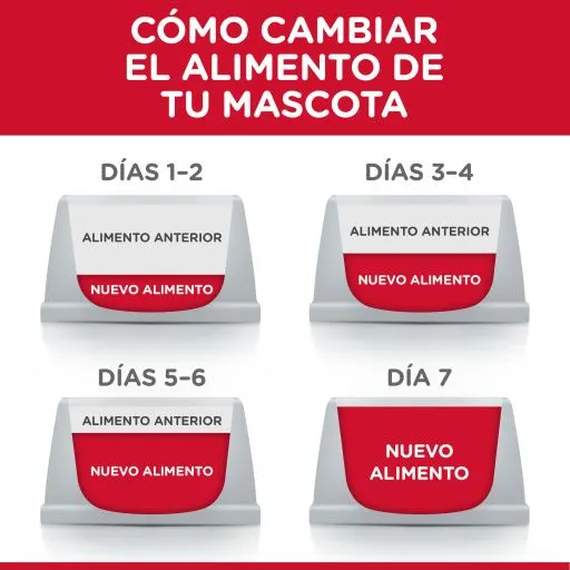 Hill's Science Plan Puppy Large Con Pollo 12 Hill's Science Plan Puppy Large Con Pollo – Image 10