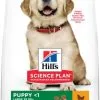 Hill's Science Plan Puppy Large Con Pollo 2 Hill's Science Plan Puppy Large Con Pollo -Nourriture pour chien Boutique 171491 52742026084 4 1 1 g