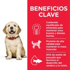 Hill's Science Plan Puppy Large Con Pollo 17 Hill's Science Plan Puppy Large Con Pollo -Nourriture pour chien Boutique 171491 52742026084 5 6 6 g