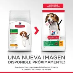 Hill's Science Plan Puppy Medium Con Pollo -Nourriture pour chien Boutique 171500 52742024974 6 2 g