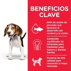 Hill's Science Plan Puppy Medium Con Pollo -Nourriture pour chien Boutique 171500 52742025582 1 4 g