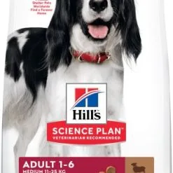 Hill's Science Plan Adult Medium Con Agnello E Riso