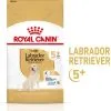 Royal Canin Labrador Retriever Adult 5+