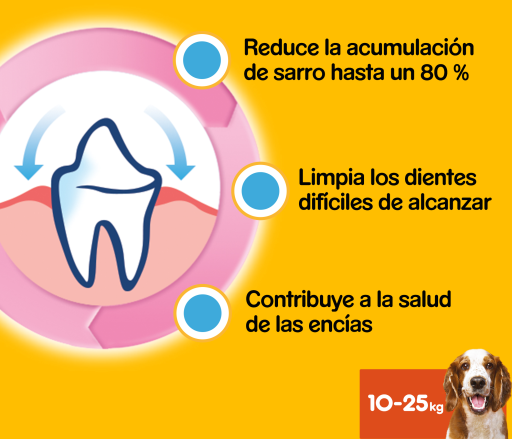 Pedigree Dentastix Dental Snack Per L'igiene Orale Di Cani Di Taglia Media 12 Pedigree Dentastix Dental Snack Per L'igiene Orale Di Cani Di Taglia Media – Image 10