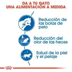 Royal Canin Indoor Long Hair -Nourriture pour chien Boutique 188601 3 2 g