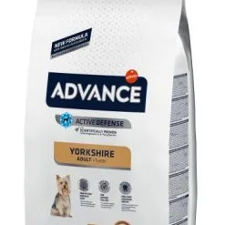 Advance Cibo Secco Eorkshire Terrier Adult