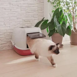 Ferplast Filtro Sandbox Coperto Magix -Nourriture pour chien Boutique 3 0190013607 1800x1800 63ad5996ac54e g