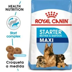 Royal Canin Cibo Secco Per Cani Starter Maxi Mother & Babe Dog
