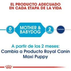 Royal Canin Cibo Secco Per Cani Starter Maxi Mother & Babe Dog -Nourriture pour chien Boutique 308 3 2 g