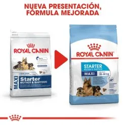 Royal Canin Cibo Secco Per Cani Starter Maxi Mother & Babe Dog -Nourriture pour chien Boutique 308 6 5 g